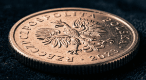 Na zdjęciu widać jednego złotego w monecie na dużym przybliżeniu