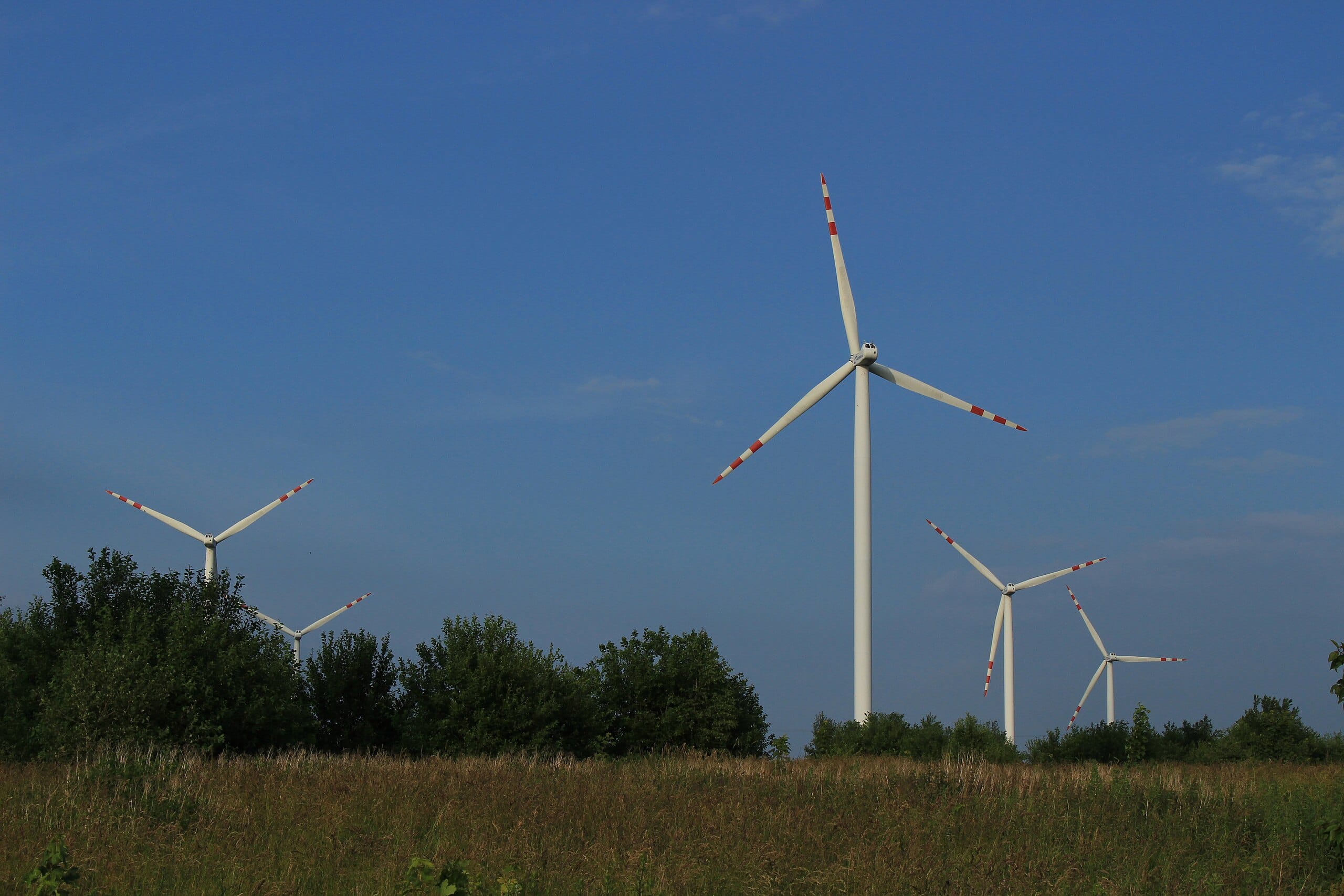 Na zdjęciu turbiny wiatrowe na tle wieczornego nieba.