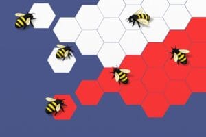 Pszczoły pracują na klastrze miodu w kolorze polskiej flagi