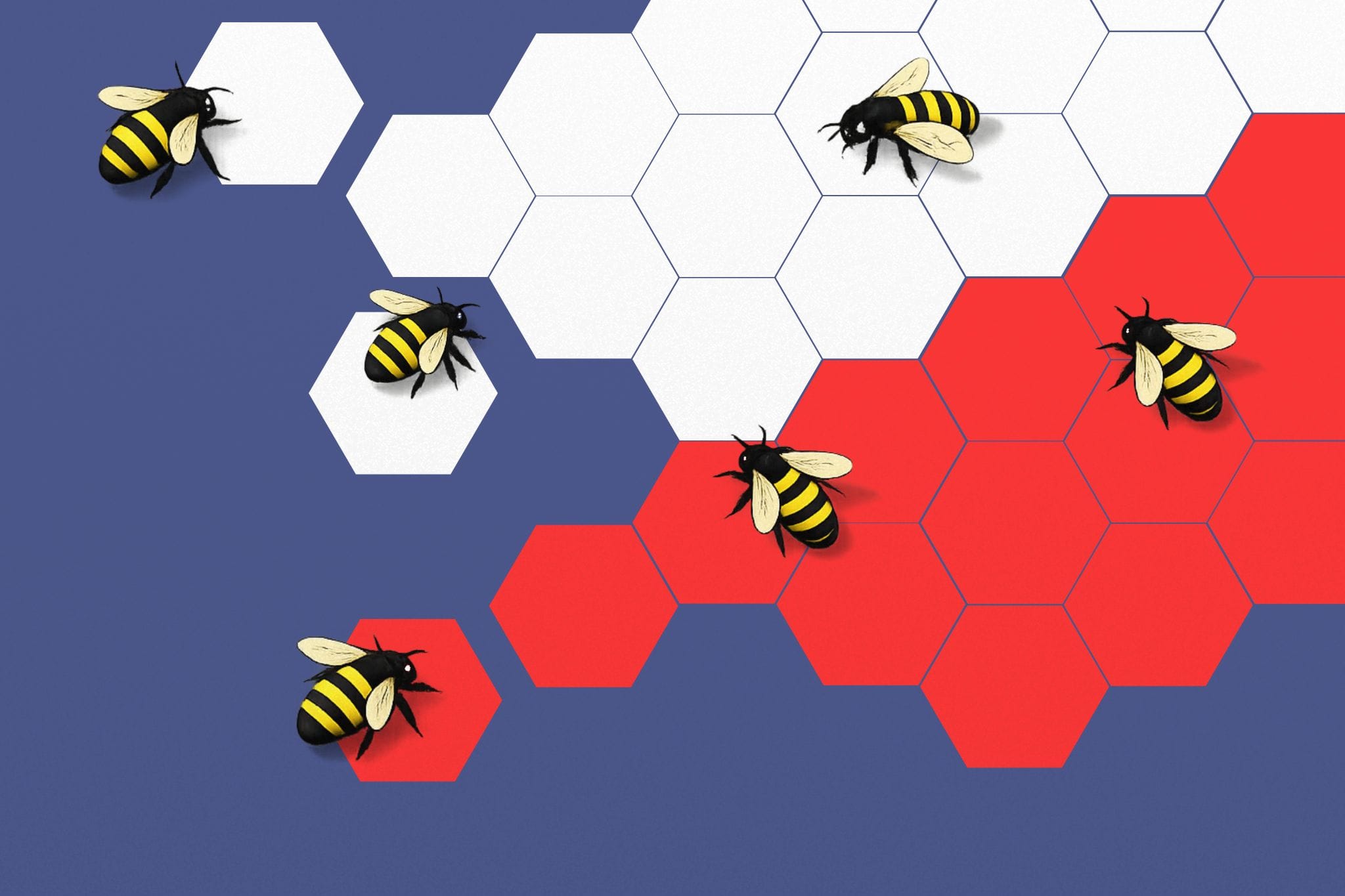 Pszczoły pracują na klastrze miodu w kolorze polskiej flagi