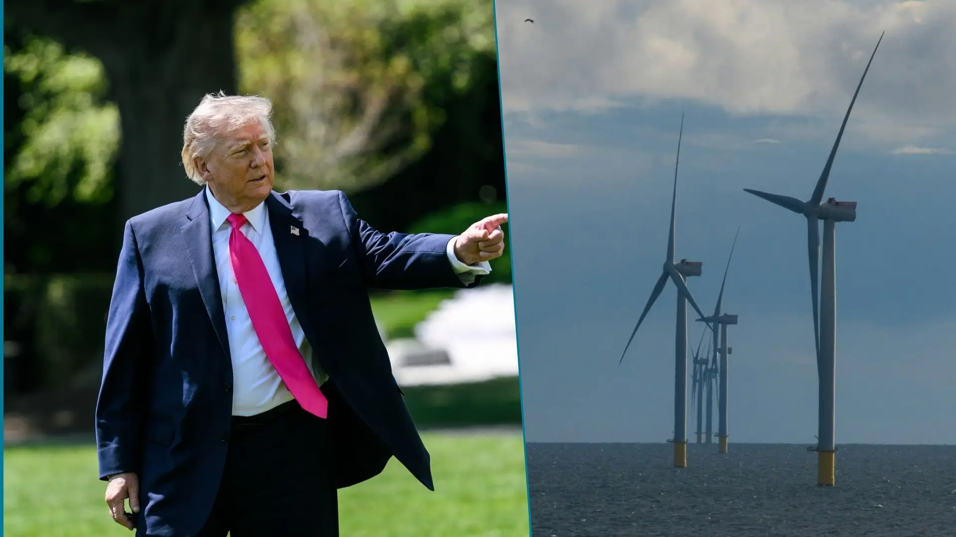 Sklejka zdięciowa przedstawiająca Donalda Trumpa wskazującego palcem na w prawo i morską farmę wiatrową.