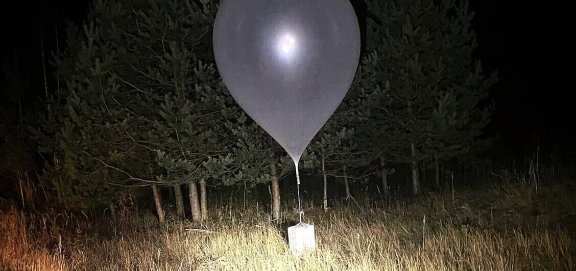 Balon w nocy przy drzewach.